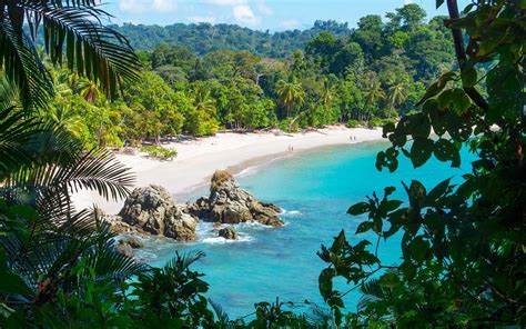 The Best Costa Rica Tours & Trips 2025